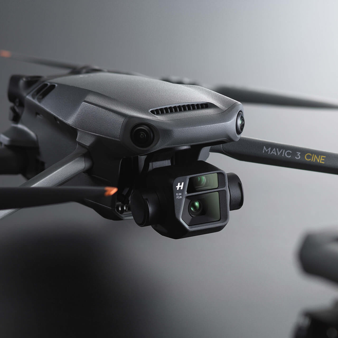 DJI FIP in nature