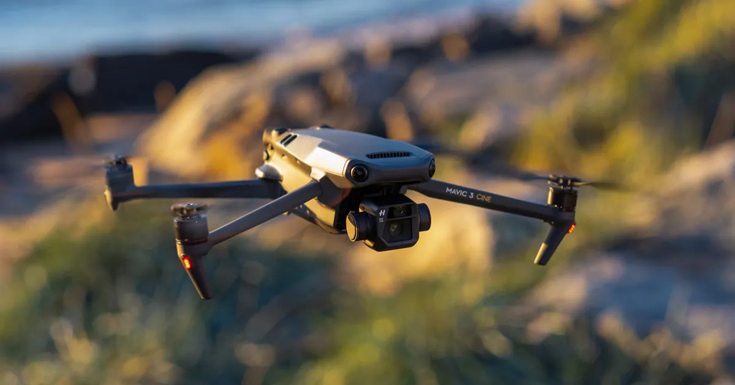 DJI FIP landscape
