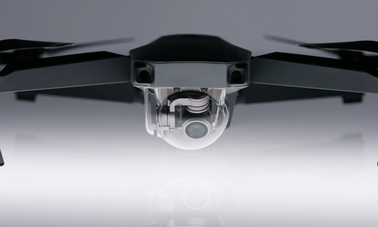 DJI FIP in nature