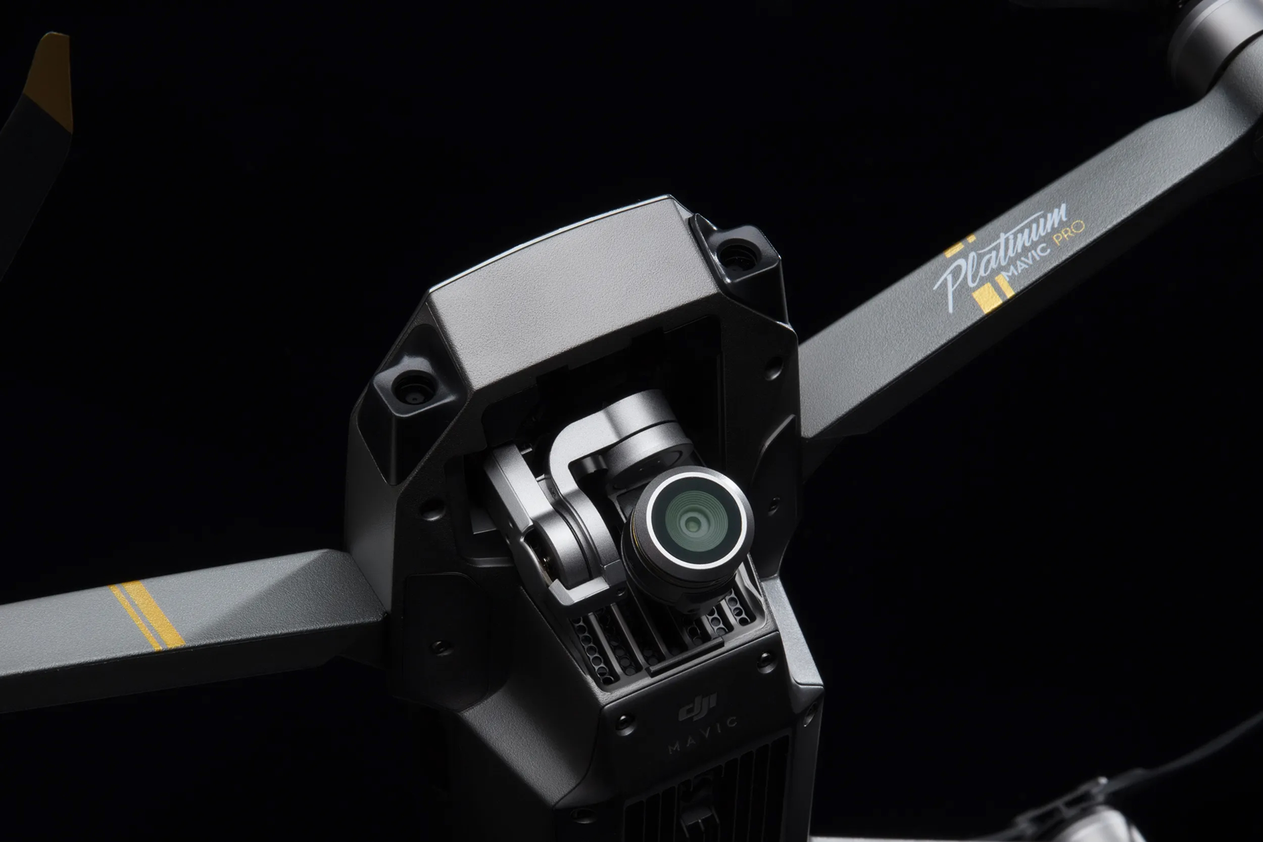 DJI FIP in nature