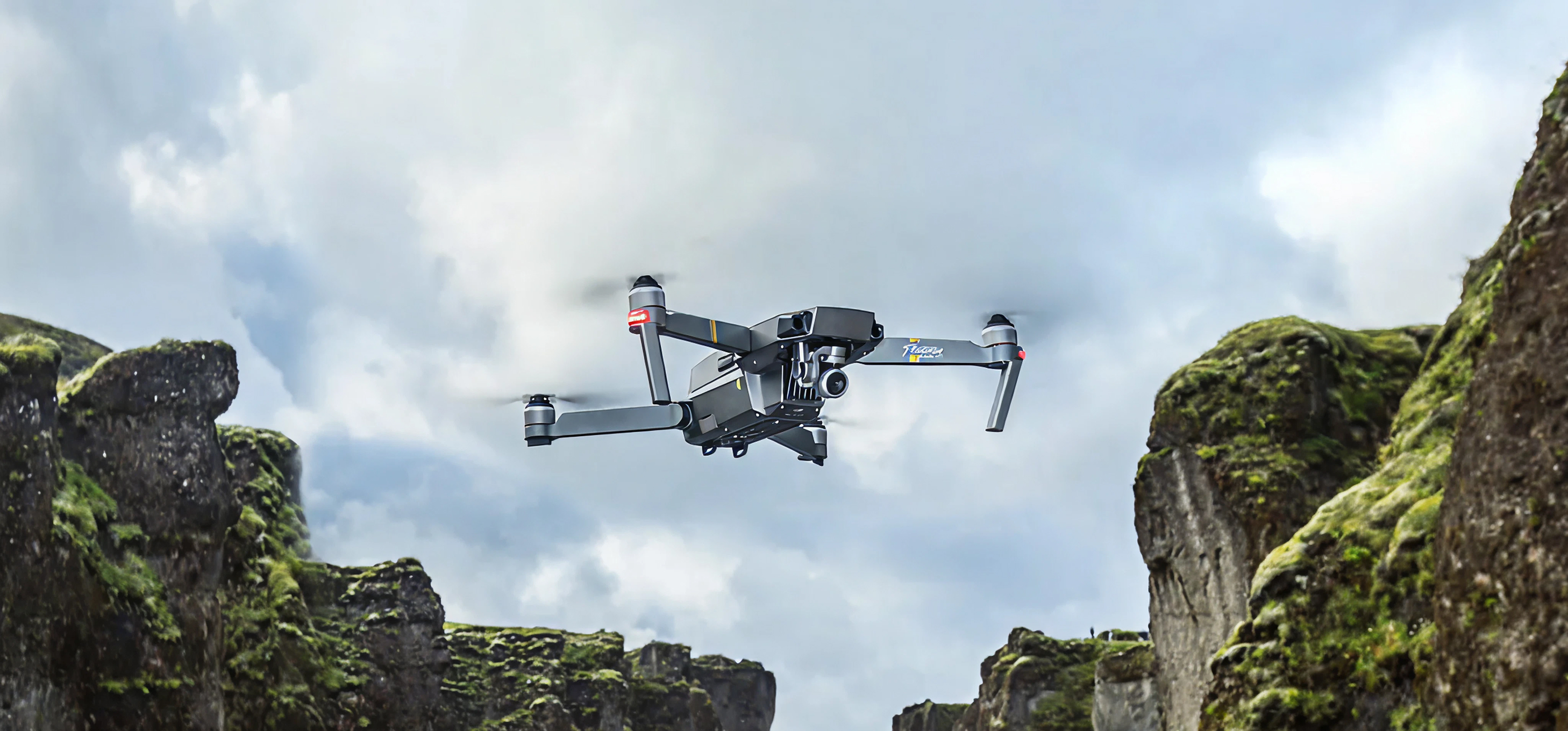 DJI FIP landscape