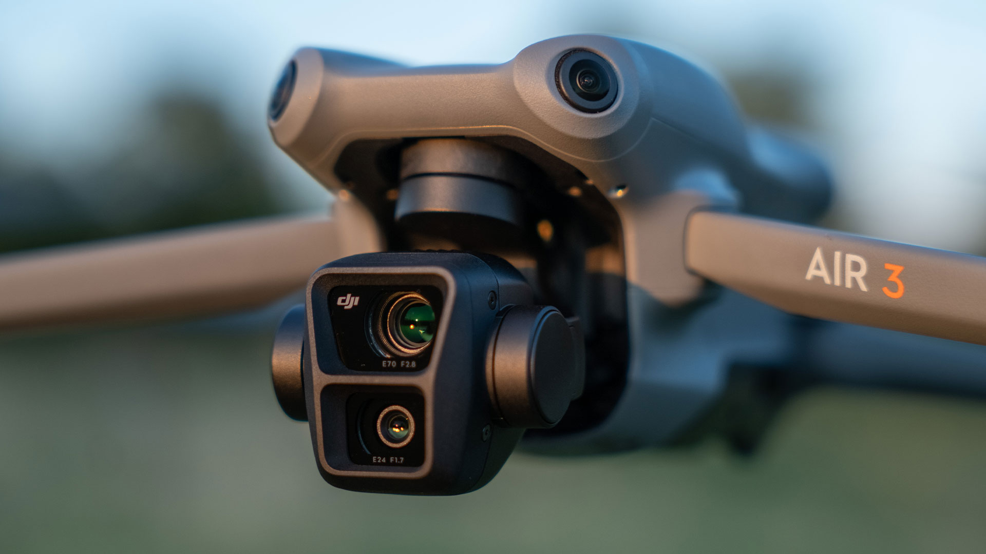 DJI FIP in nature