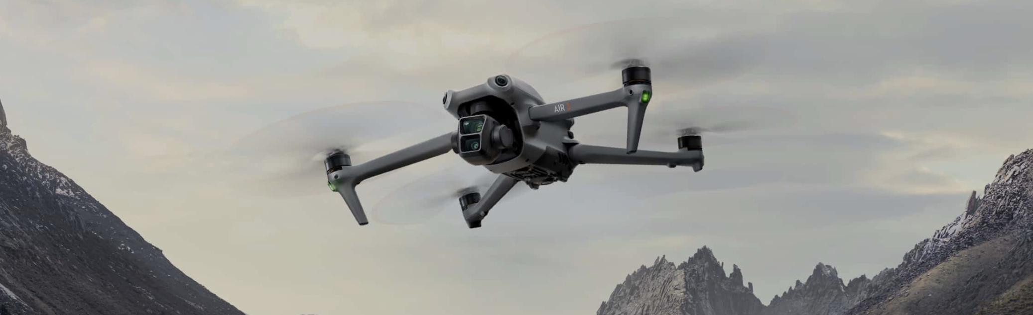 DJI FIP landscape