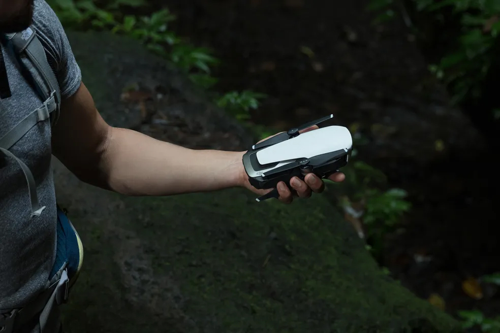 DJI FIP in nature
