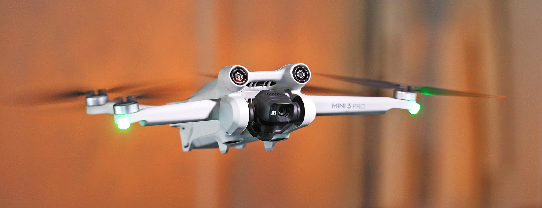DJI FIP landscape