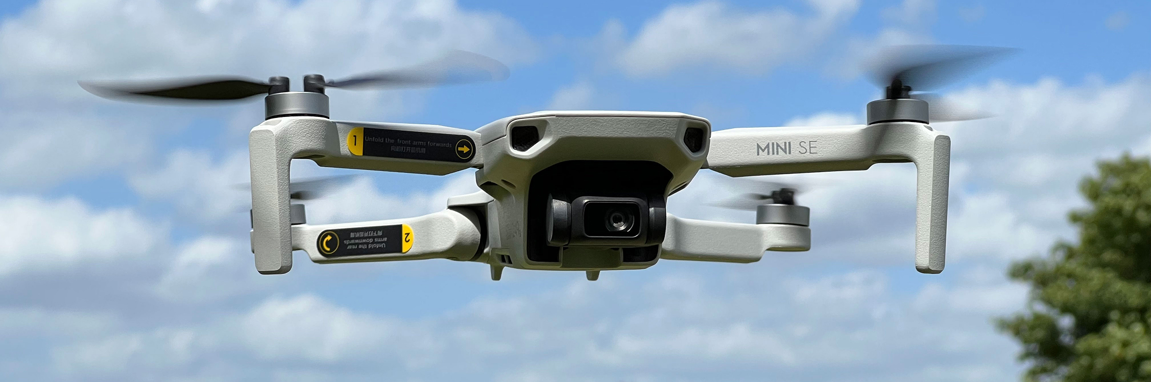 DJI FIP landscape