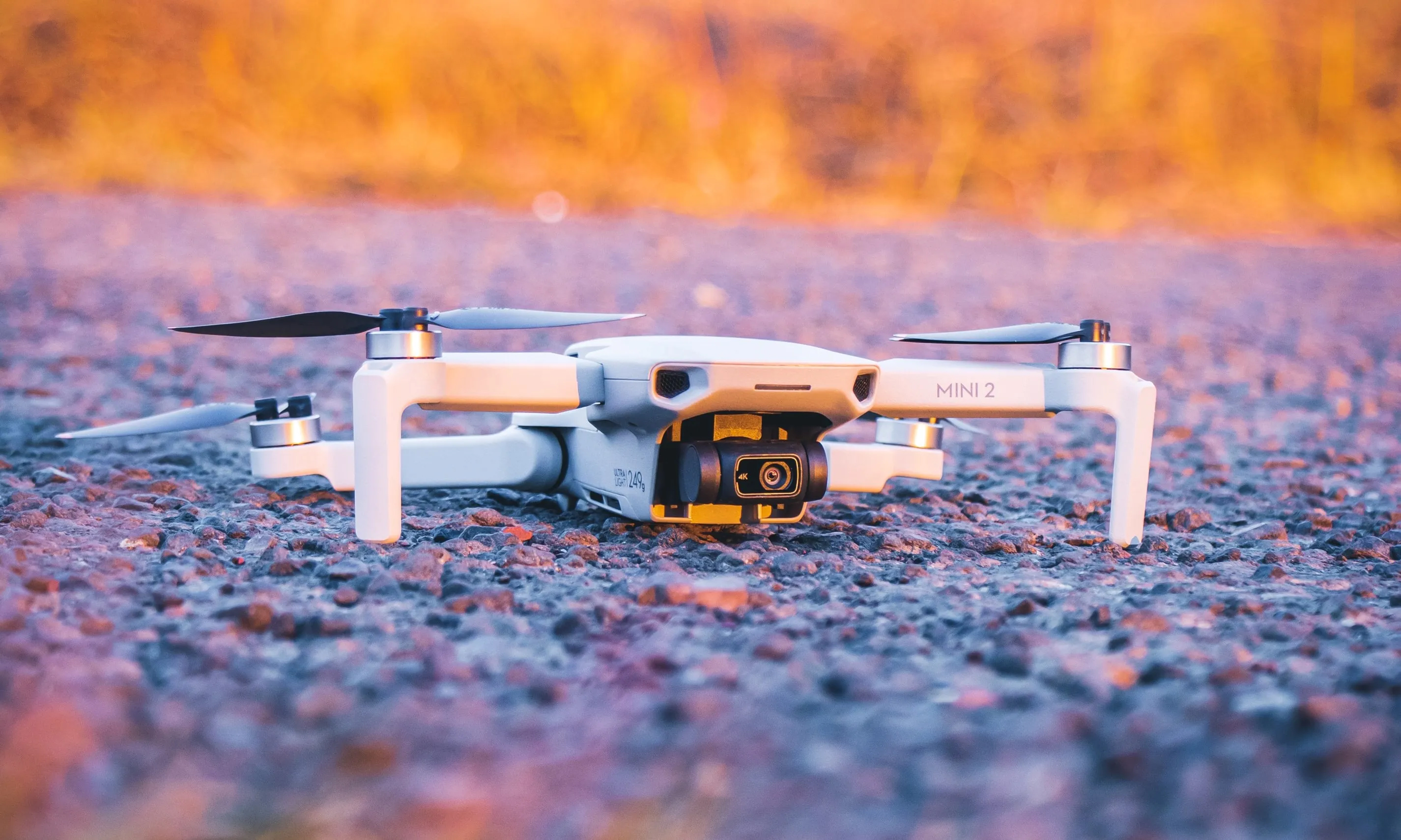 DJI FIP landscape