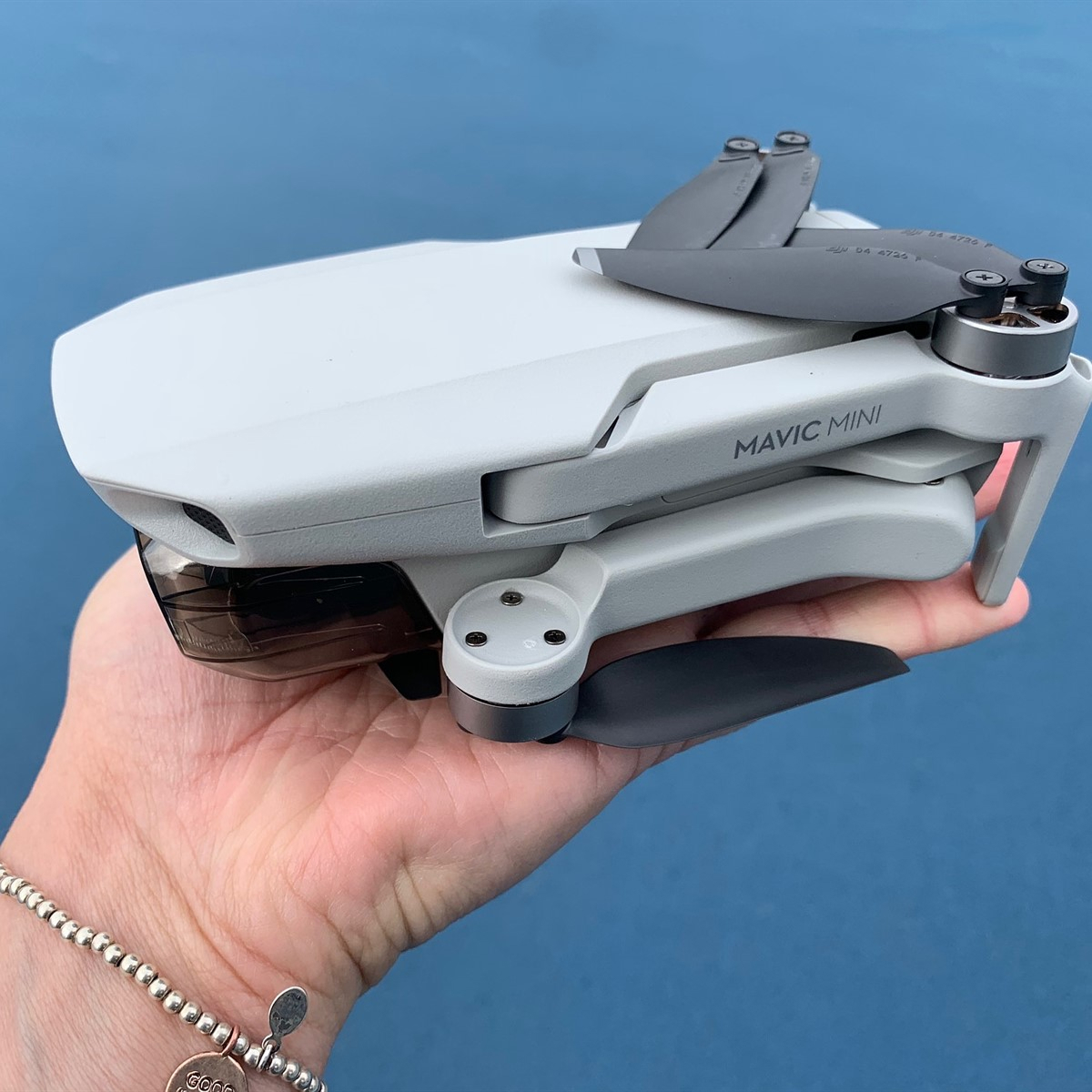 DJI FIP in nature