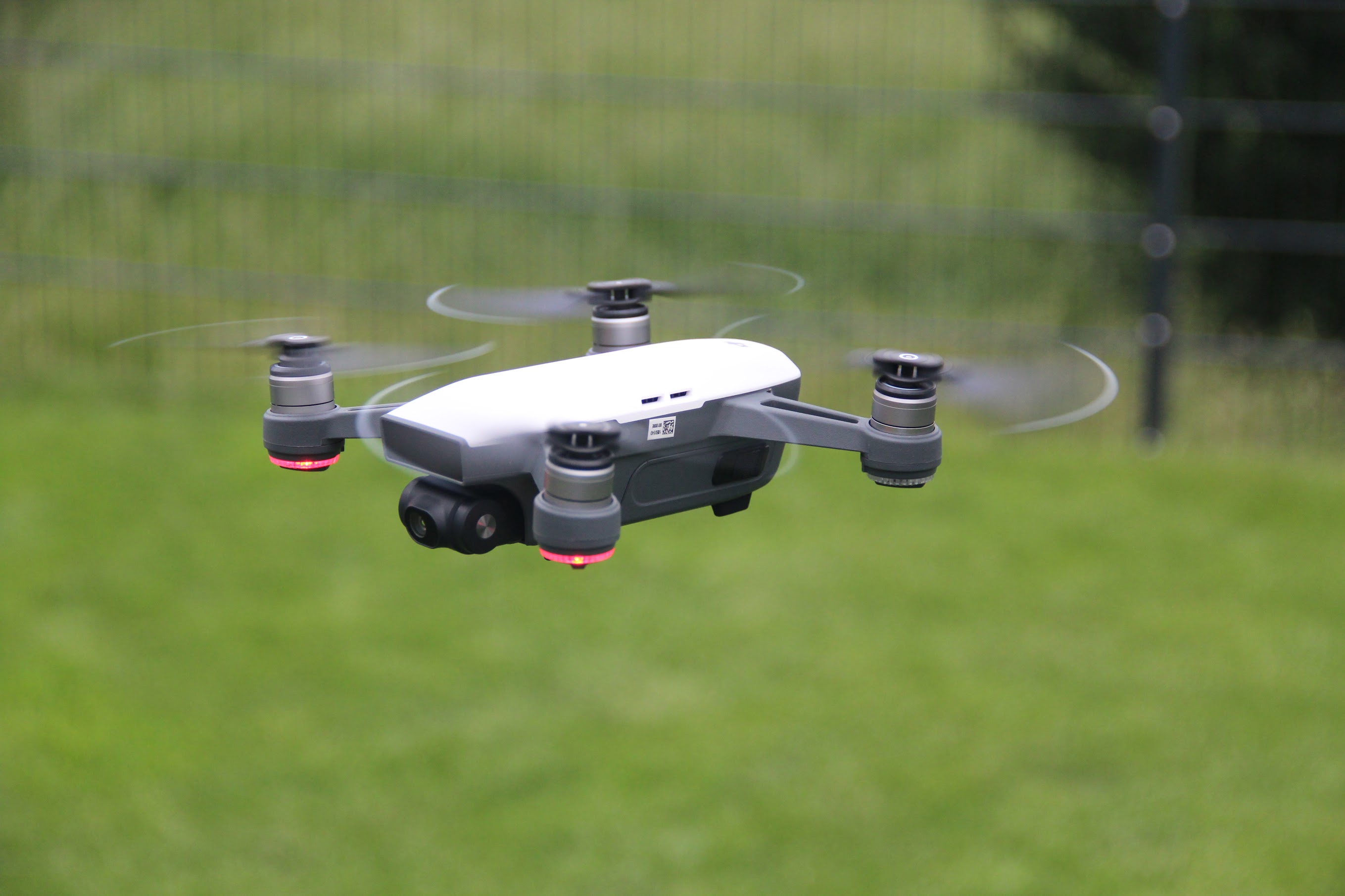 DJI FIP in nature