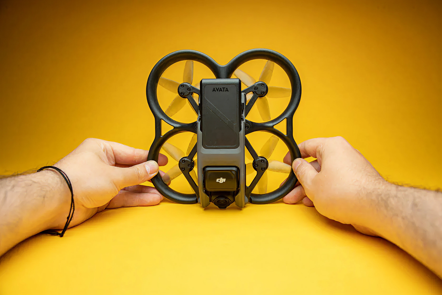 DJI FIP in nature