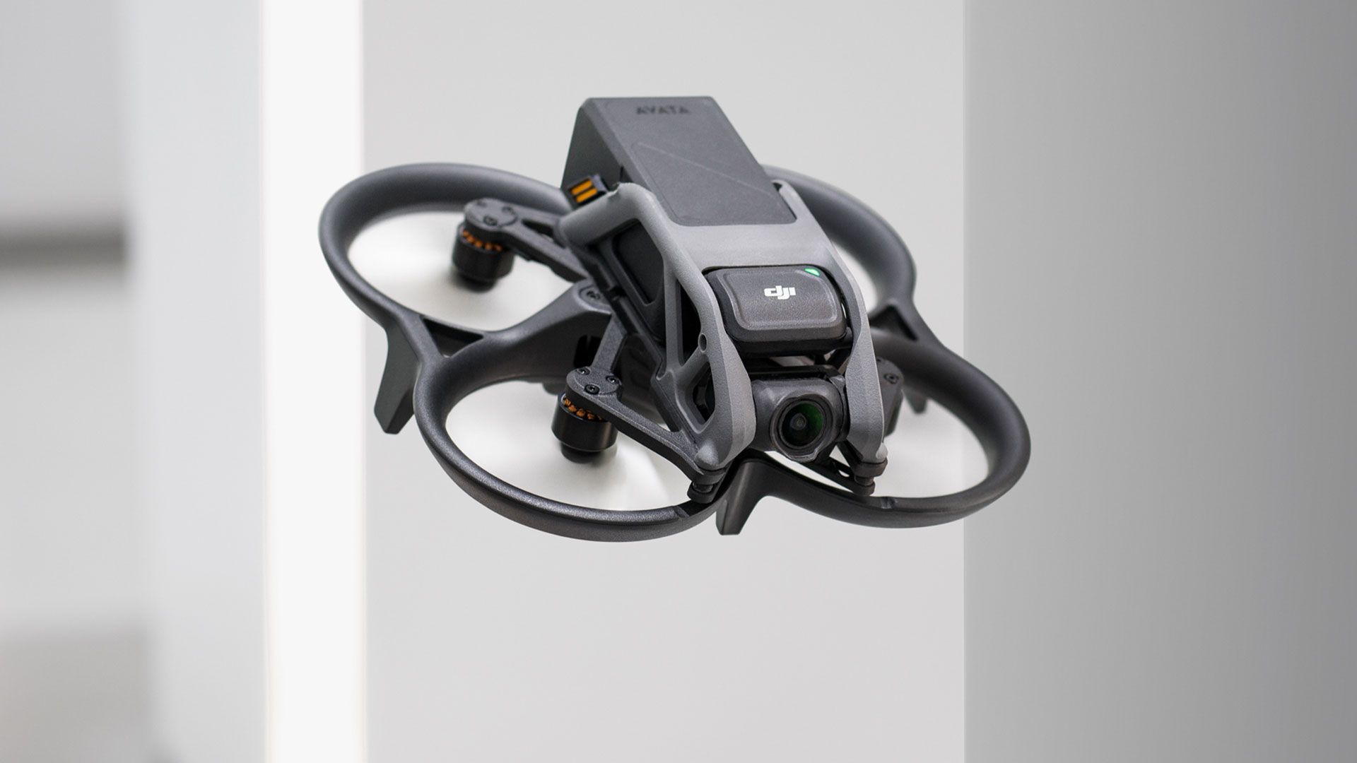 DJI FIP landscape