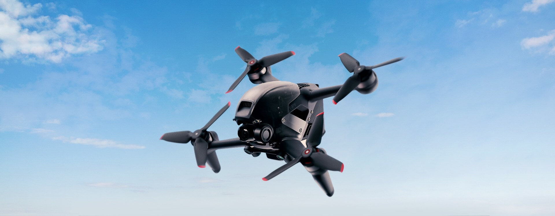 DJI FIP landscape