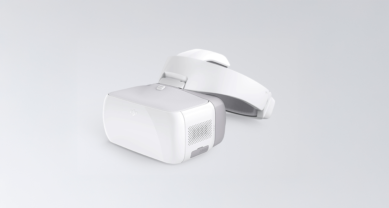 DJI FIP landscape