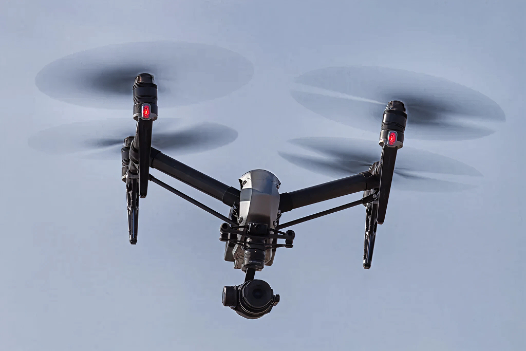 DJI FIP in nature