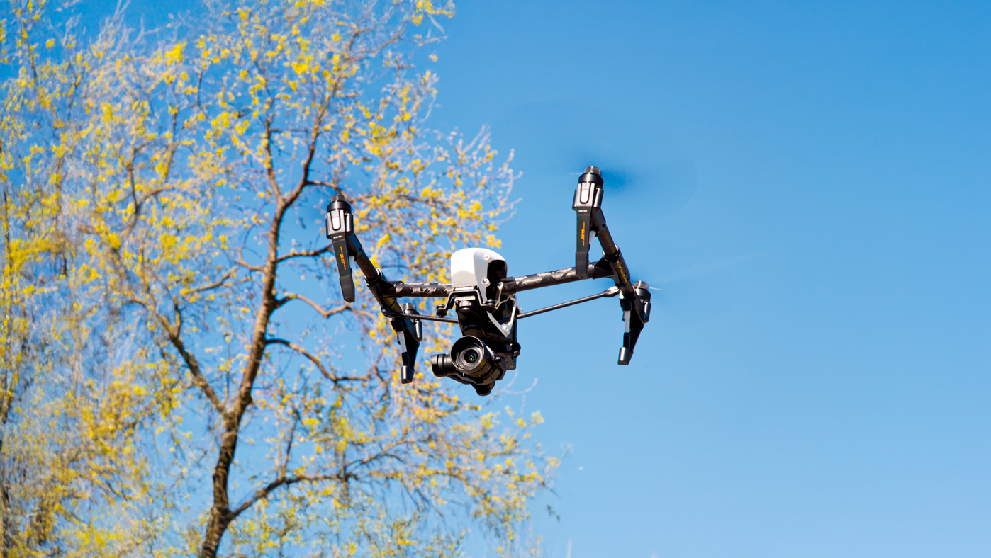 DJI FIP landscape