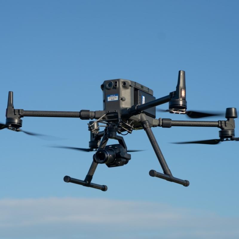 DJI FIP in nature