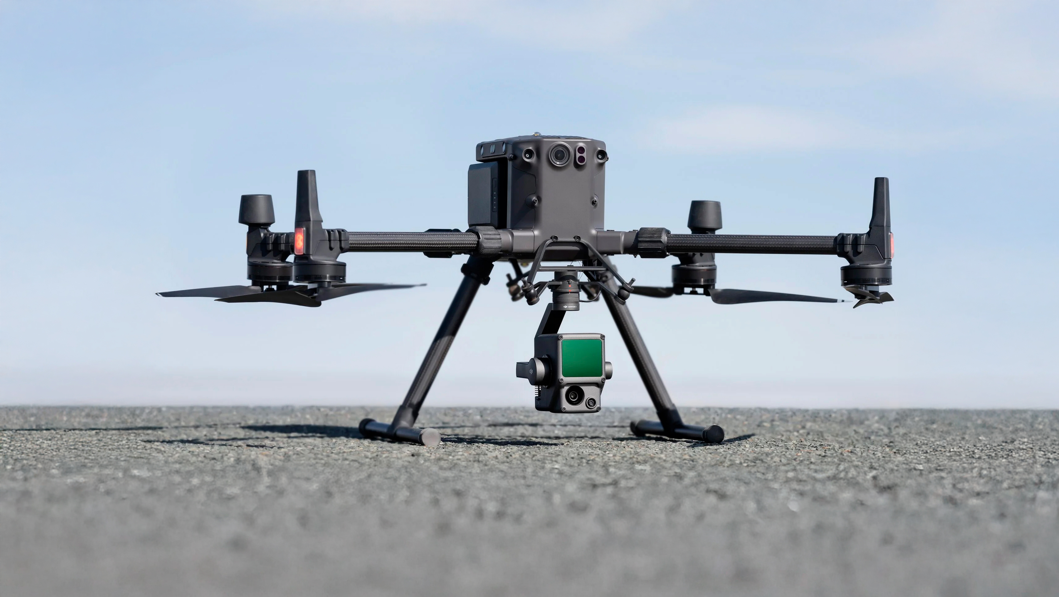DJI FIP landscape