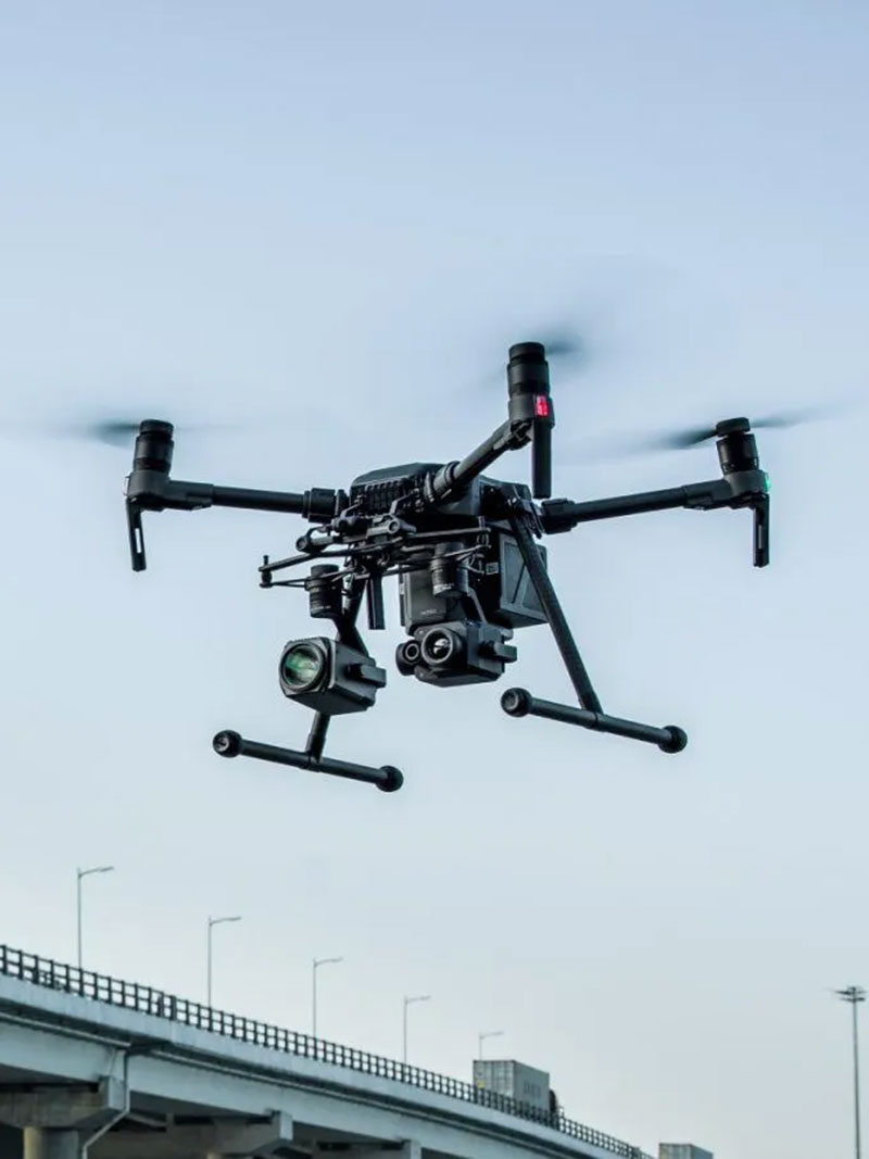 DJI FIP in nature