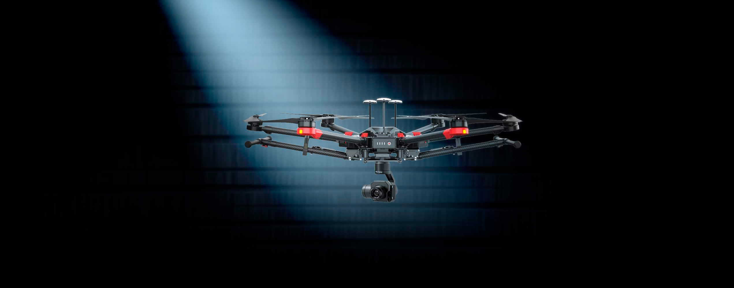 DJI FIP landscape