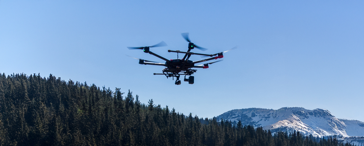 DJI FIP landscape