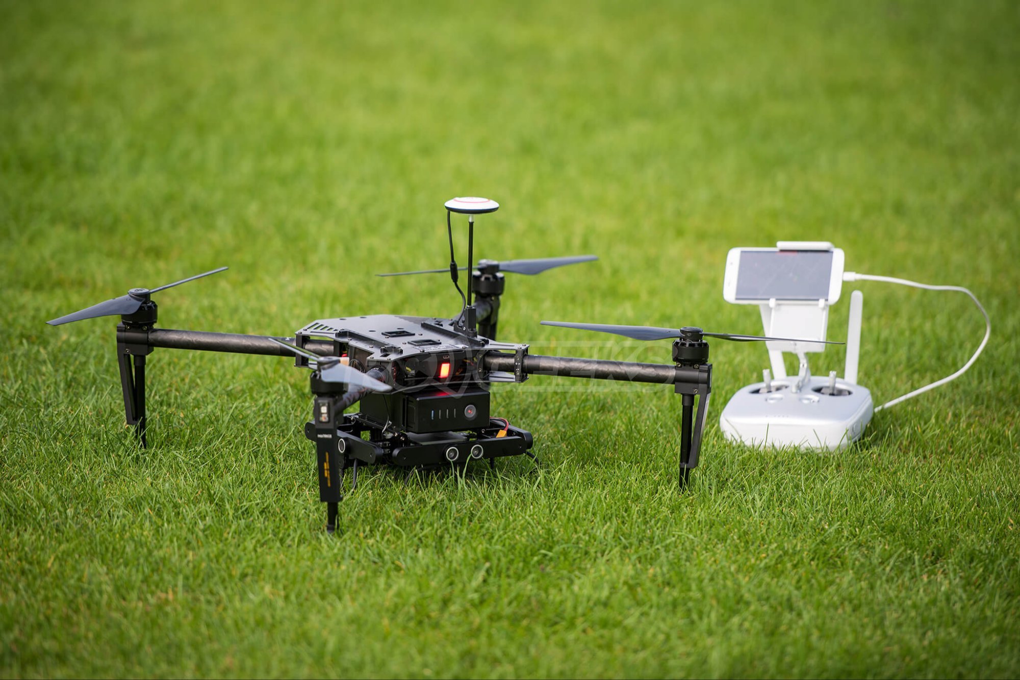 DJI FIP in nature