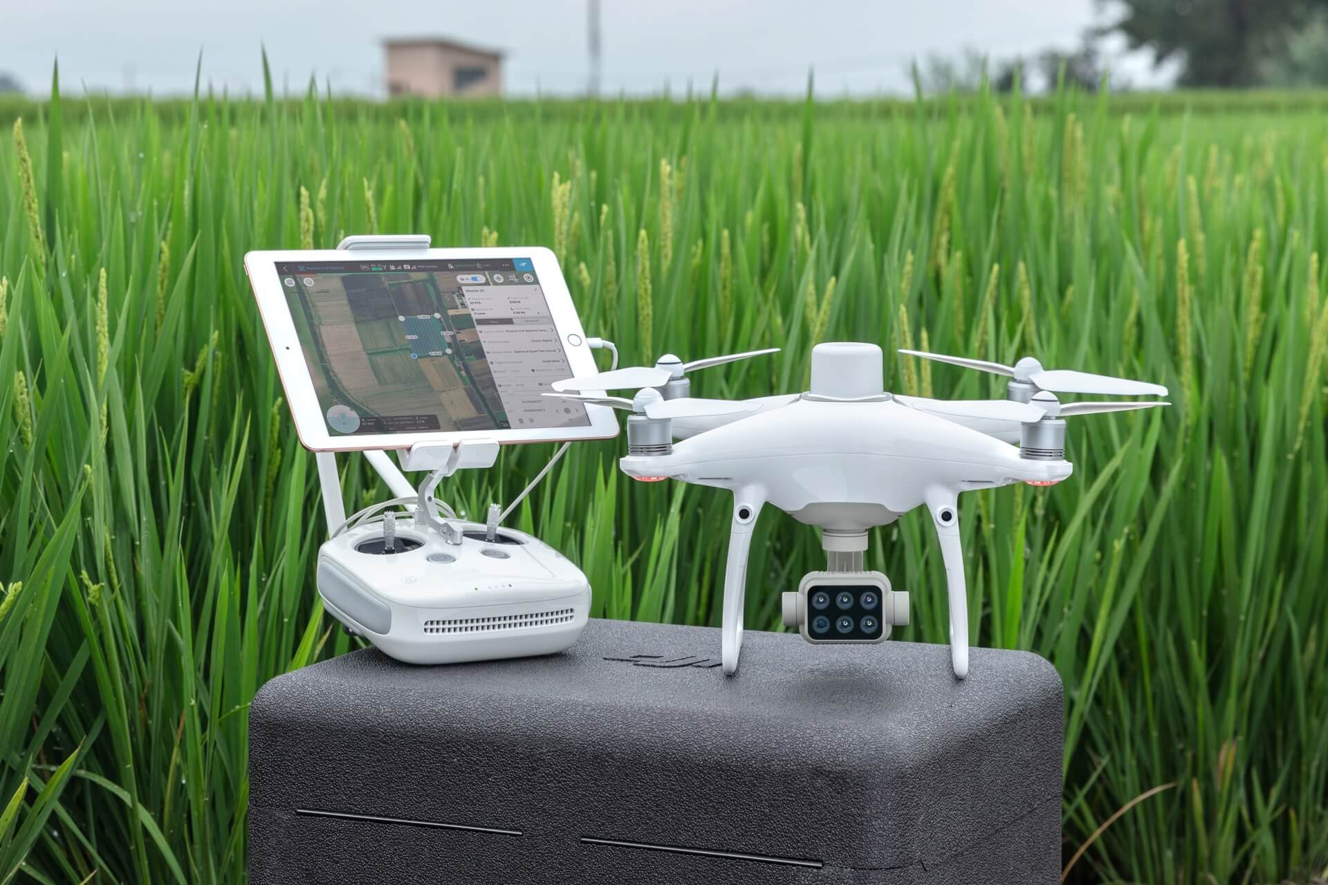 DJI FIP in nature
