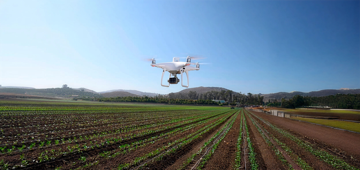 DJI FIP landscape