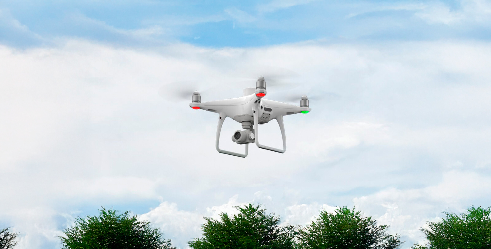 DJI FIP landscape