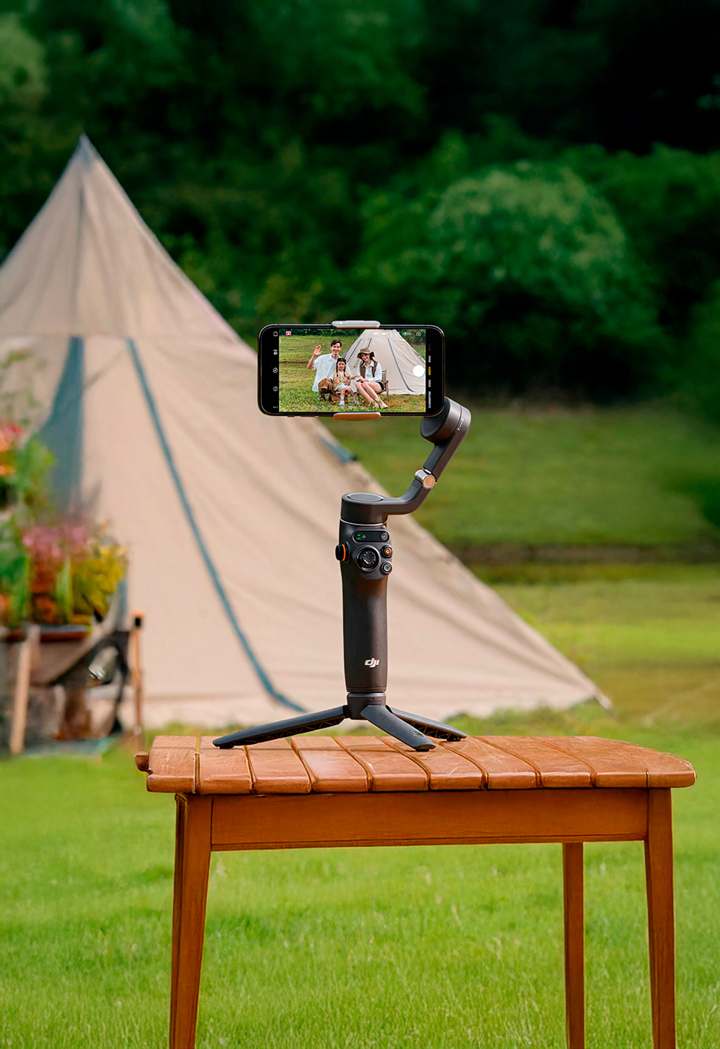 DJI FIP in nature