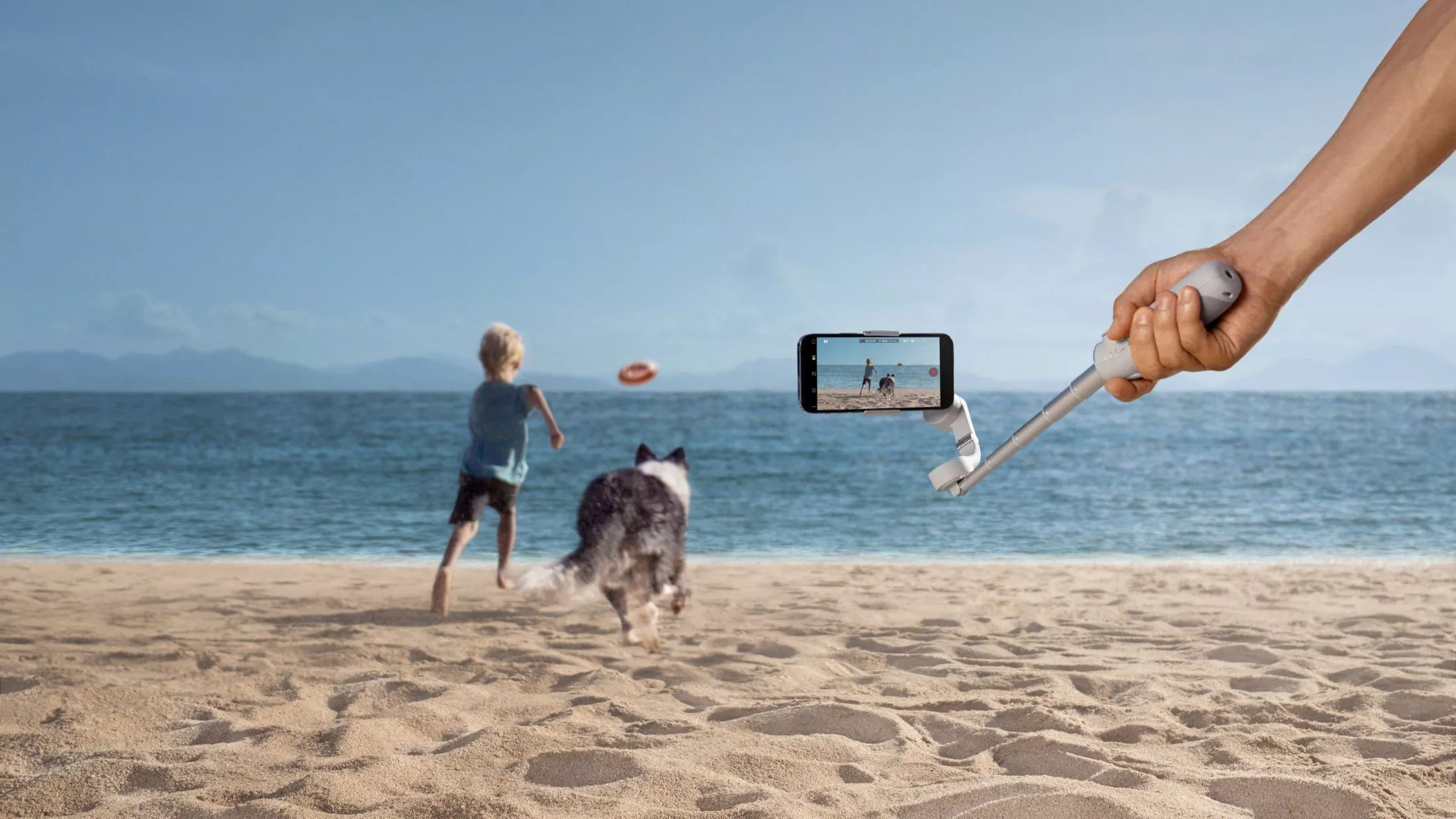 DJI FIP landscape