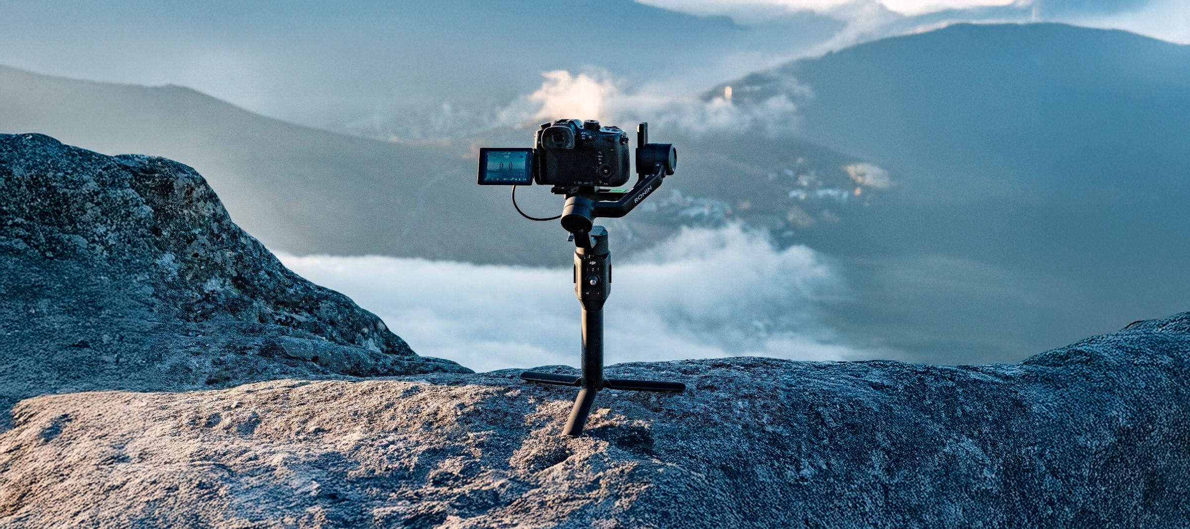 DJI FIP landscape