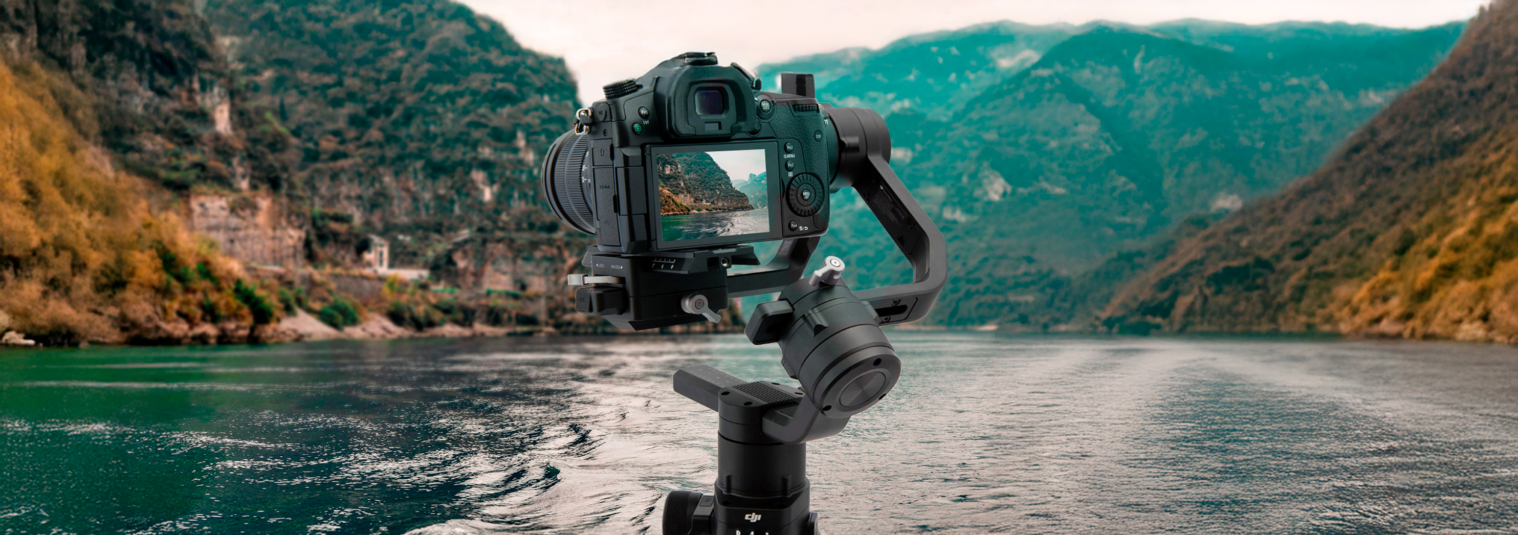 DJI FIP landscape